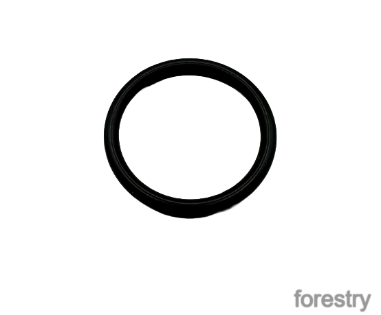 картинка Уплотнительное кольцо F013913 John Deere
