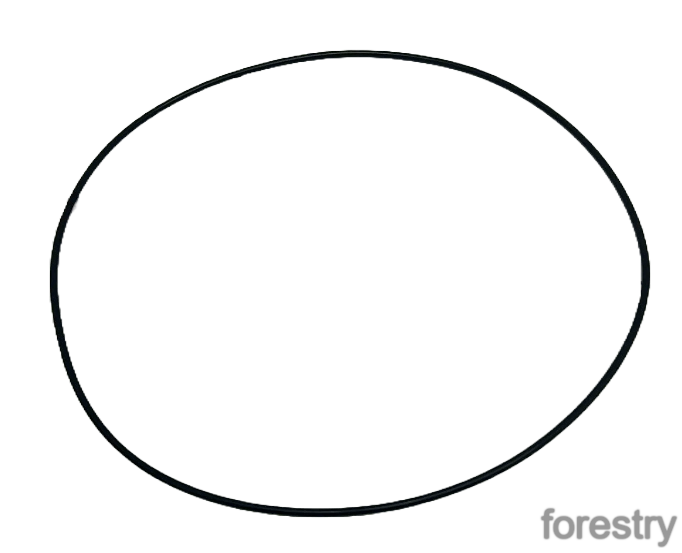 картинка Уплотнительное кольцо F040418 John Deere