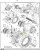 картинка Уплотнение тандемного подшипника F698808 John Deere
