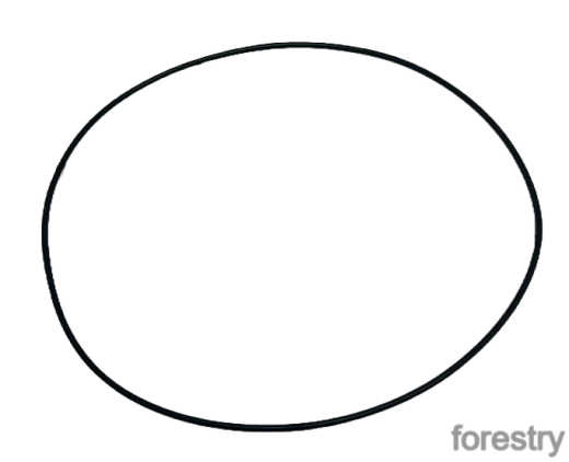 картинка Уплотнительное кольцо F040418 John Deere